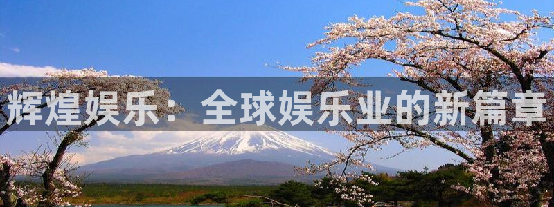 星辉平台强制退款流程详解
