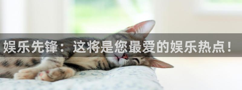 星辉平台app注册地址