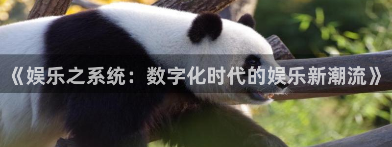 星辉平台那个爆率高
