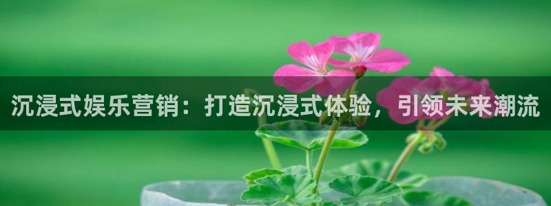 星辉平台平台app下载安装