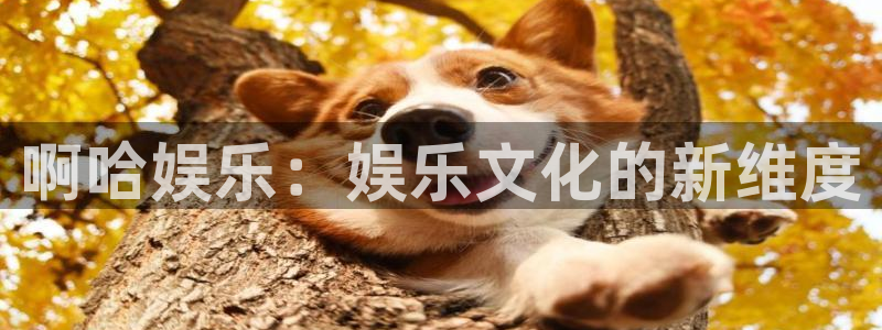 星辉平台vip麻将胡了