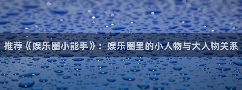 星辉平台app
