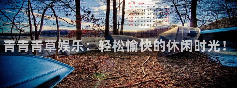 星辉平台ccm麻将胡了