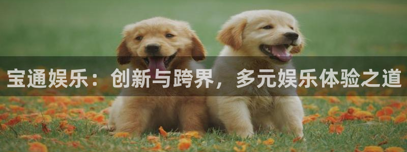 星辉平台下载链接是多少