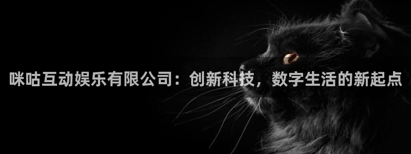 星辉平台注册链接入口