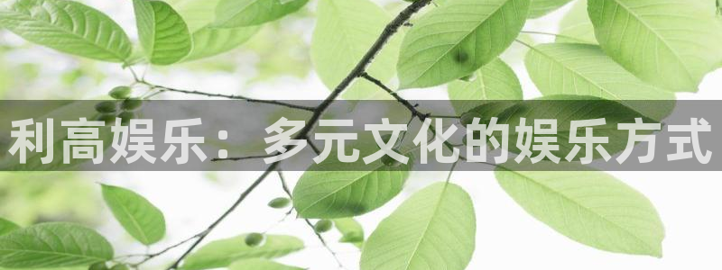 星辉平台哪个游戏好爆