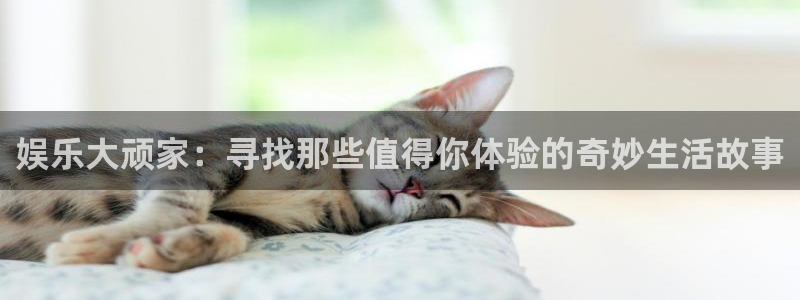 星辉平台com