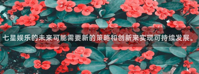 星辉平台平台官方网站：七星娱乐的未来可能需要新的策略和创新来实现可持续发展。