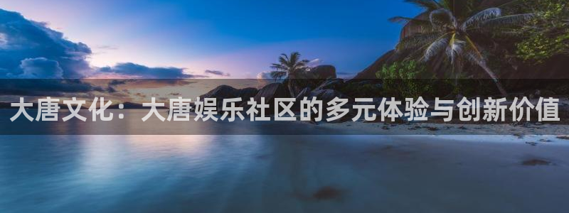 星辉平台注册网站：大唐文化：大唐娱乐社区的多元体验与创新价值