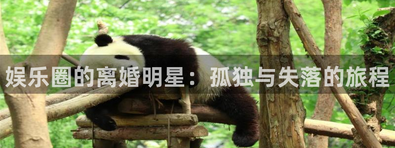 星辉平台：娱乐圈的离婚明星：孤独与失落的旅程