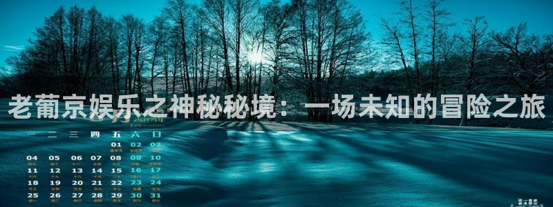 星辉平台app入口：老葡京娱乐之神秘秘境：一场未知的冒险之旅