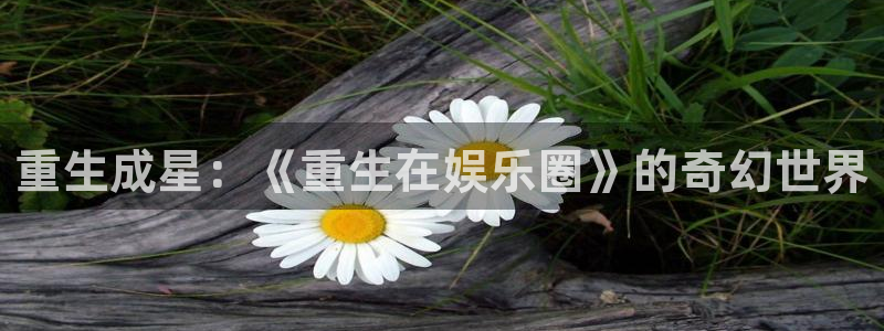 星辉平台平台官方入口：重生成星：《重生在娱乐圈》的奇幻世界