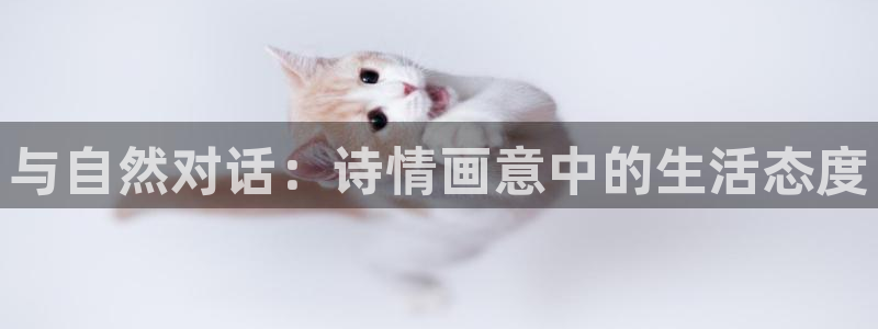 壹号注册入口app下载：与自然对话：诗情画意中的生活态度