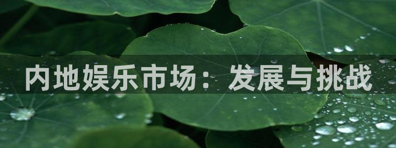 星辉平台加拿大在线预测：内地娱乐市场：发展与挑战