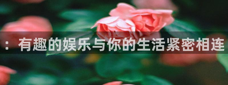 壹号电子娱乐app下载最新版本：：有趣的娱乐与你的生活紧密相连