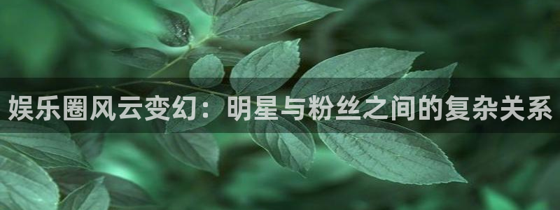 壹号app下载：娱乐圈风云变幻：明星与粉丝之间的复杂关系