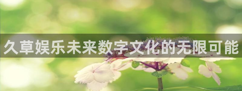 星辉平台(com.youad.authst)：久草娱乐未来数字文化的无限可能