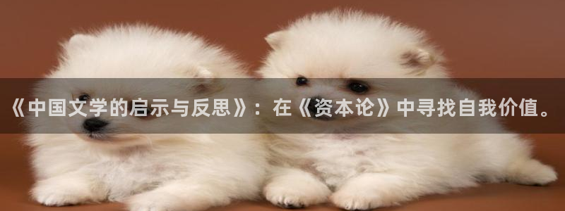 星辉平台官网入口：《中国文学的启示与反思》：在《资本论》中寻找自我价值。