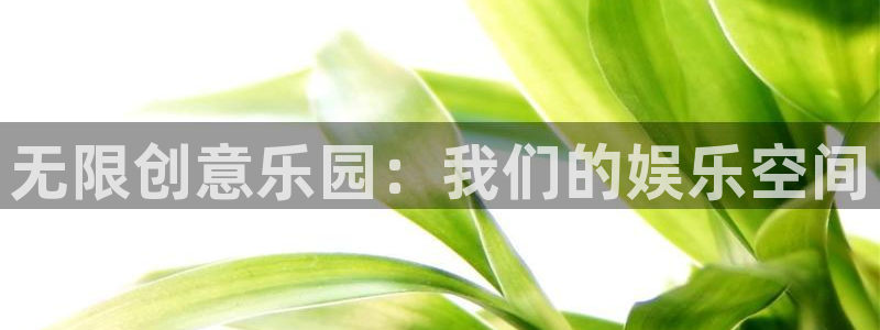 星辉平台游戏官网平台入口：无限创意乐园：我们的娱乐空间