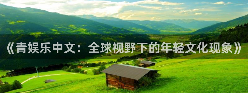 星辉平台网址：《青娱乐中文：全球视野下的年轻文化现象》