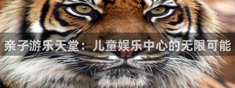 星辉平台app哪个模式容易赢：亲子游乐天堂：儿童娱乐中心的无限可能